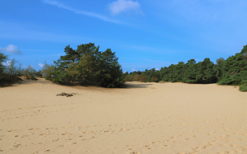 B&B Veluwe Gelderland